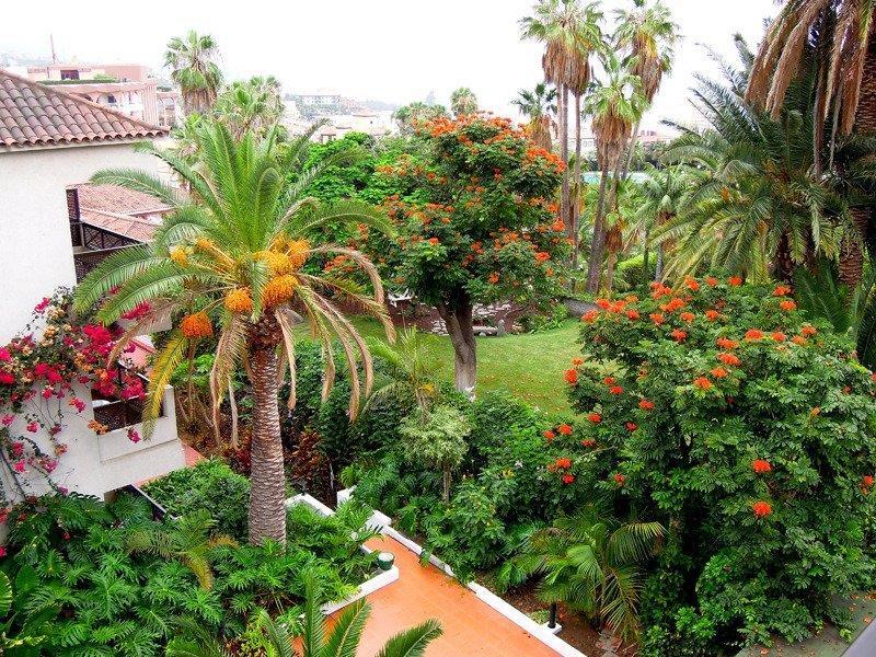 Parque San Antonio Hotel Puerto de la Cruz  Ngoại thất bức ảnh
